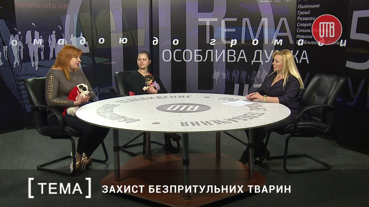 tema-81