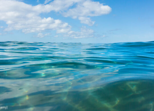 DY8ERP Ripples on the Pacific Ocean surface near Kamaole Beach on a calm day on the island of Maui in the state of Hawaii USA. Image shot 03/2014. Exact date unknown. (© Bill Brooks/Alamy)