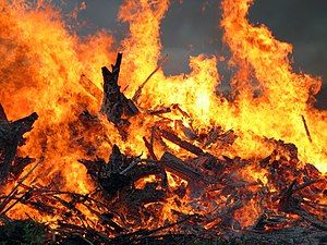 300px-midsummer_bonfire_closeup