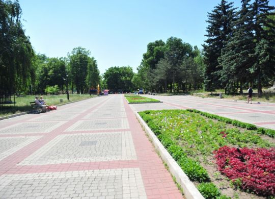 don_80701