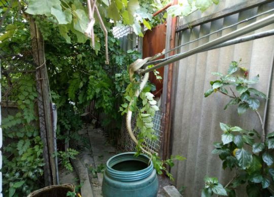 photo5309924457126669109